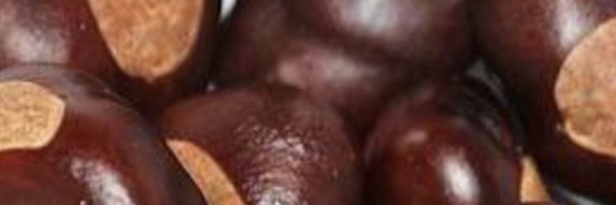 Jason Valentine banner