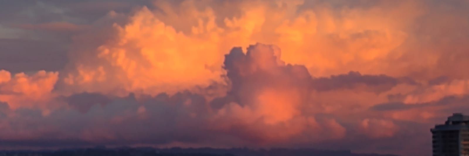 GRACECOL's profile banner image