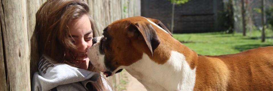 Priscidafonseca's profile banner image