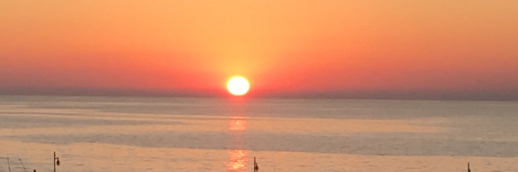 talicowen's profile banner image