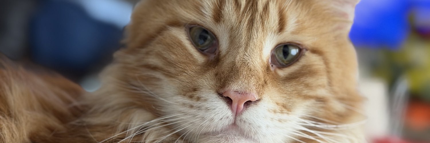 mparadav's profile banner image