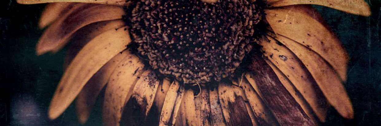 aaahueb's profile banner image