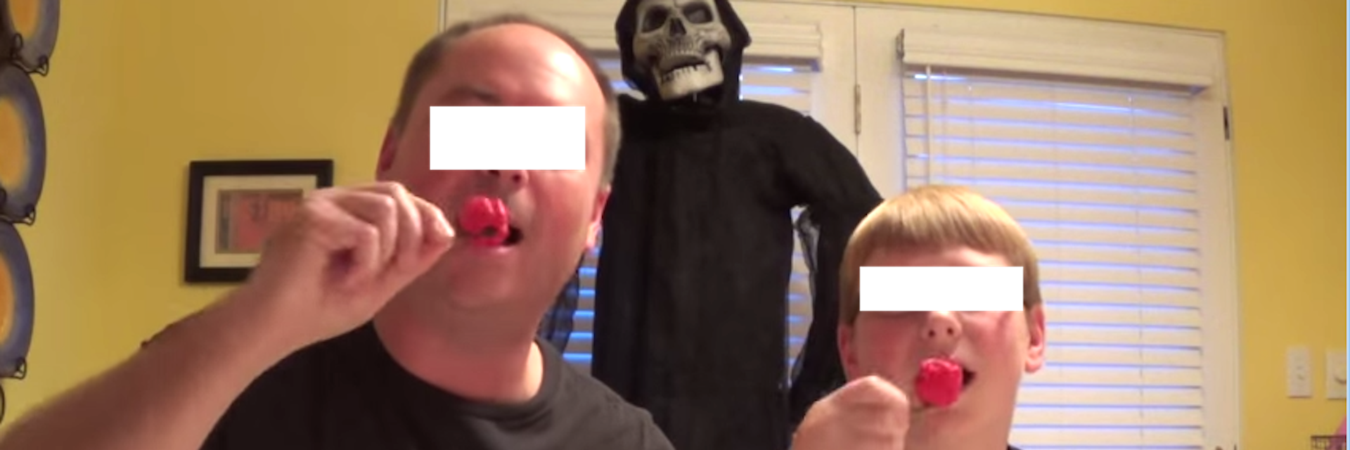 NoLegCentipede's profile banner image