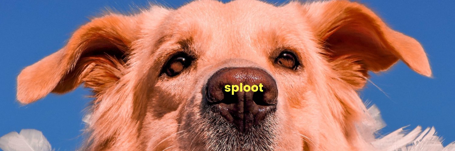Garima Kaushal 🐶's banner