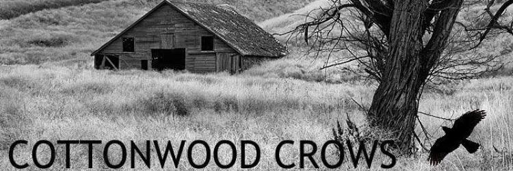 cottonwoodcrows's profile banner image