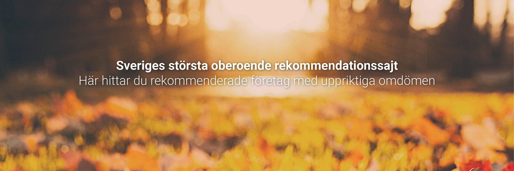 Reco banner