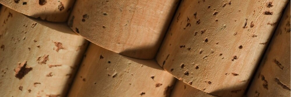 EcoLogicalCork's profile banner image