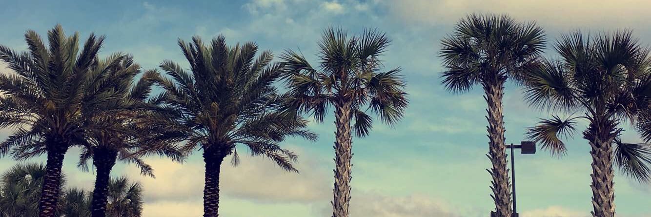 madde_lite's profile banner image