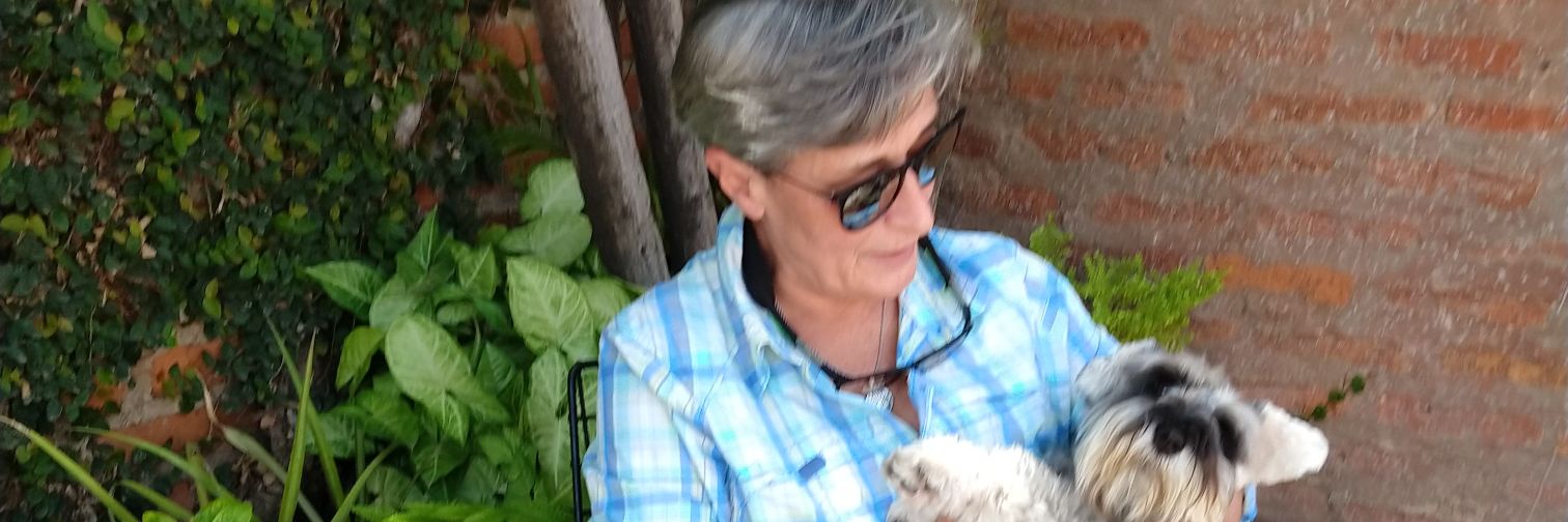 Escuela ALBERDISTA banner