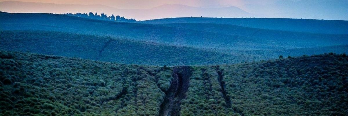 fmonroy20's profile banner image