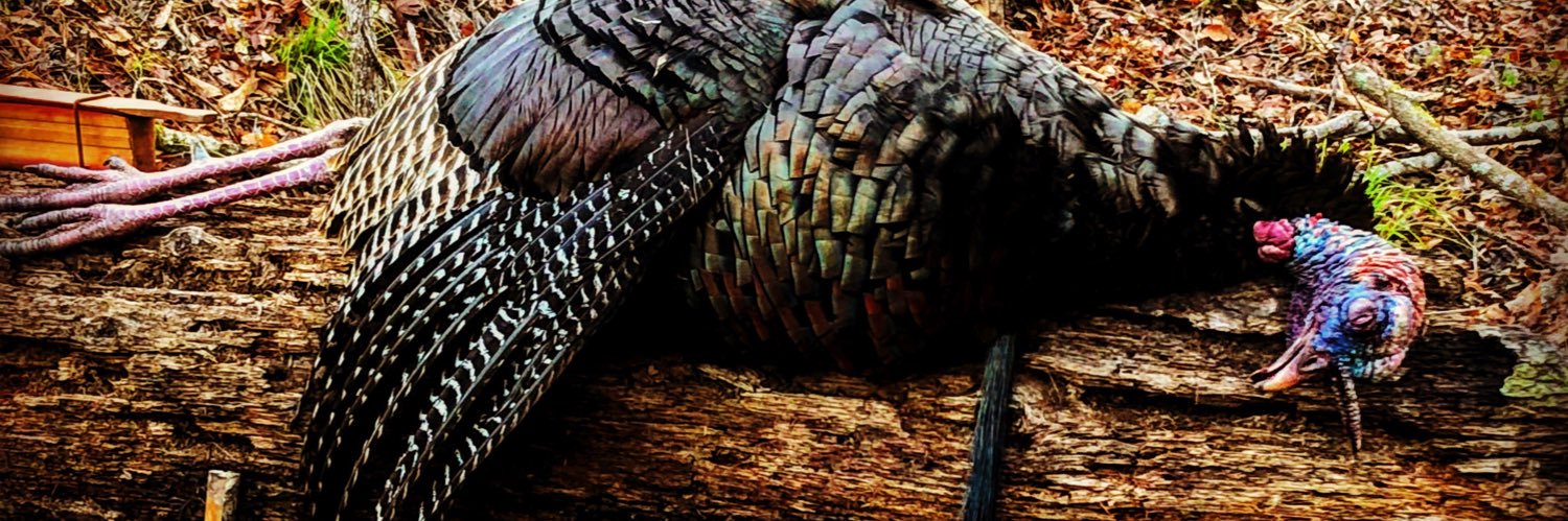CorbinJohnson3's profile banner image