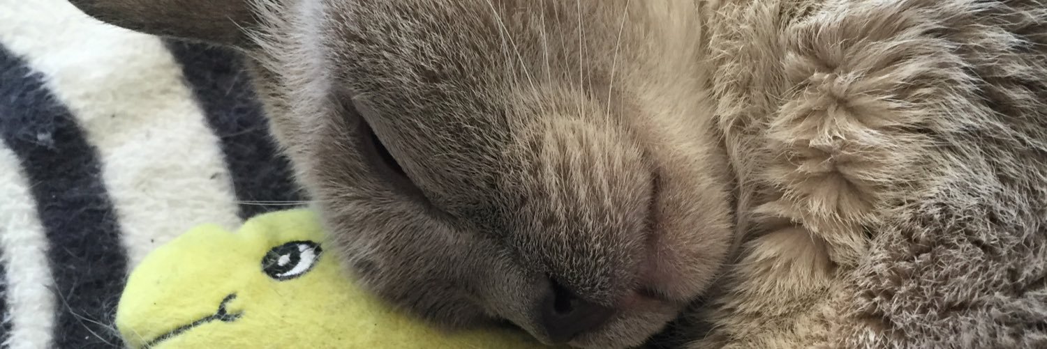 zandertehcat's profile banner image