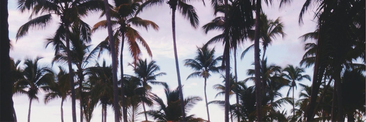 Karolballesters's profile banner image