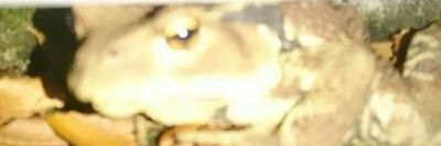 る banner
