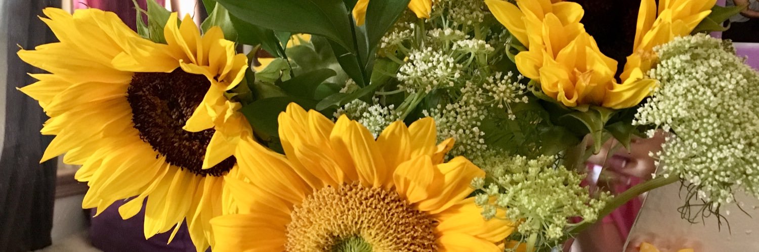 EmilyCarrillo3's profile banner image