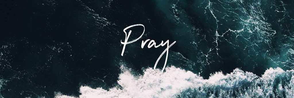 Lu Fontes ✿ banner