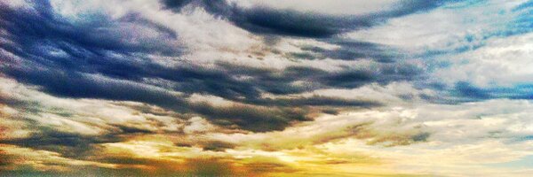 BassRankings Profile Banner