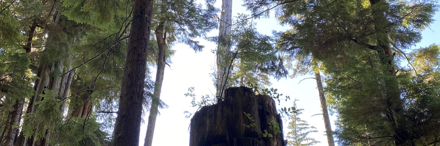 coureur des bois 🇨🇦 banner