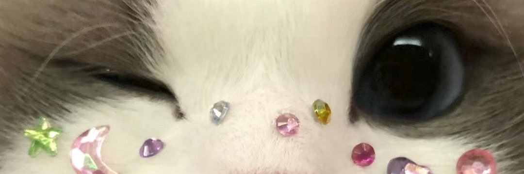 haniewoo98's profile banner image