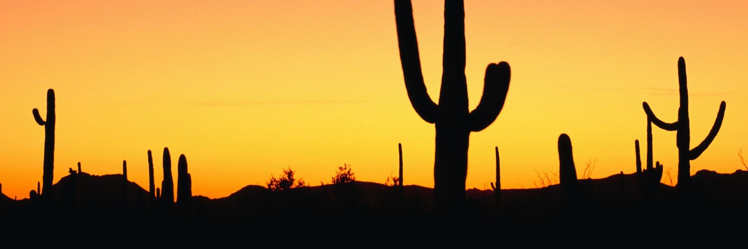 acilo's profile banner image