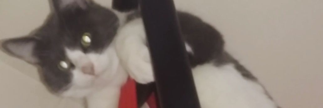 jean_pgt's profile banner image