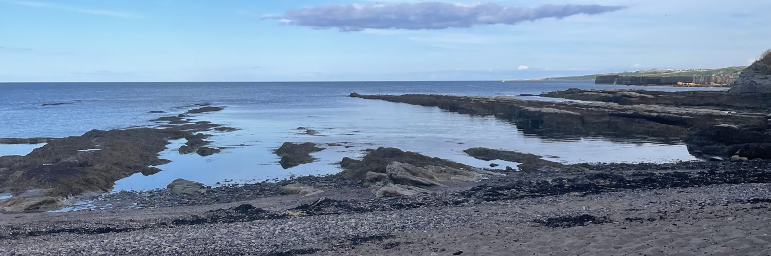 Dr Lisa Quinn banner