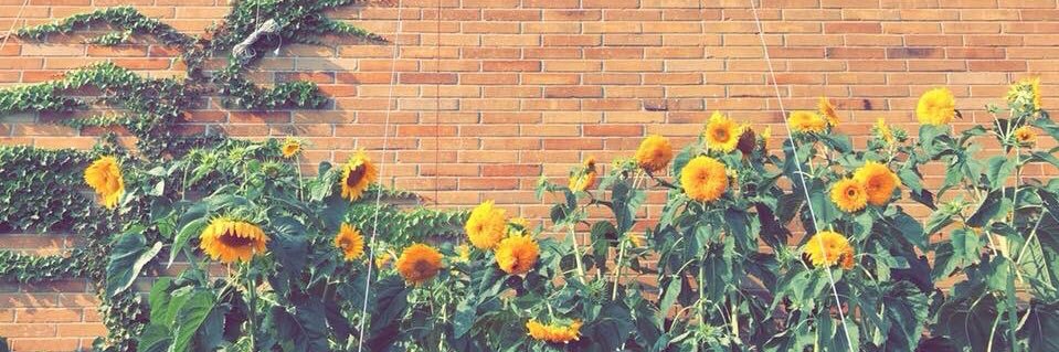 allibesh's profile banner image