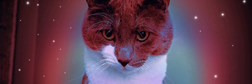Nelly_Nunez's profile banner image