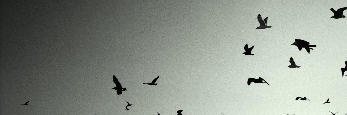 dwiguna's profile banner image