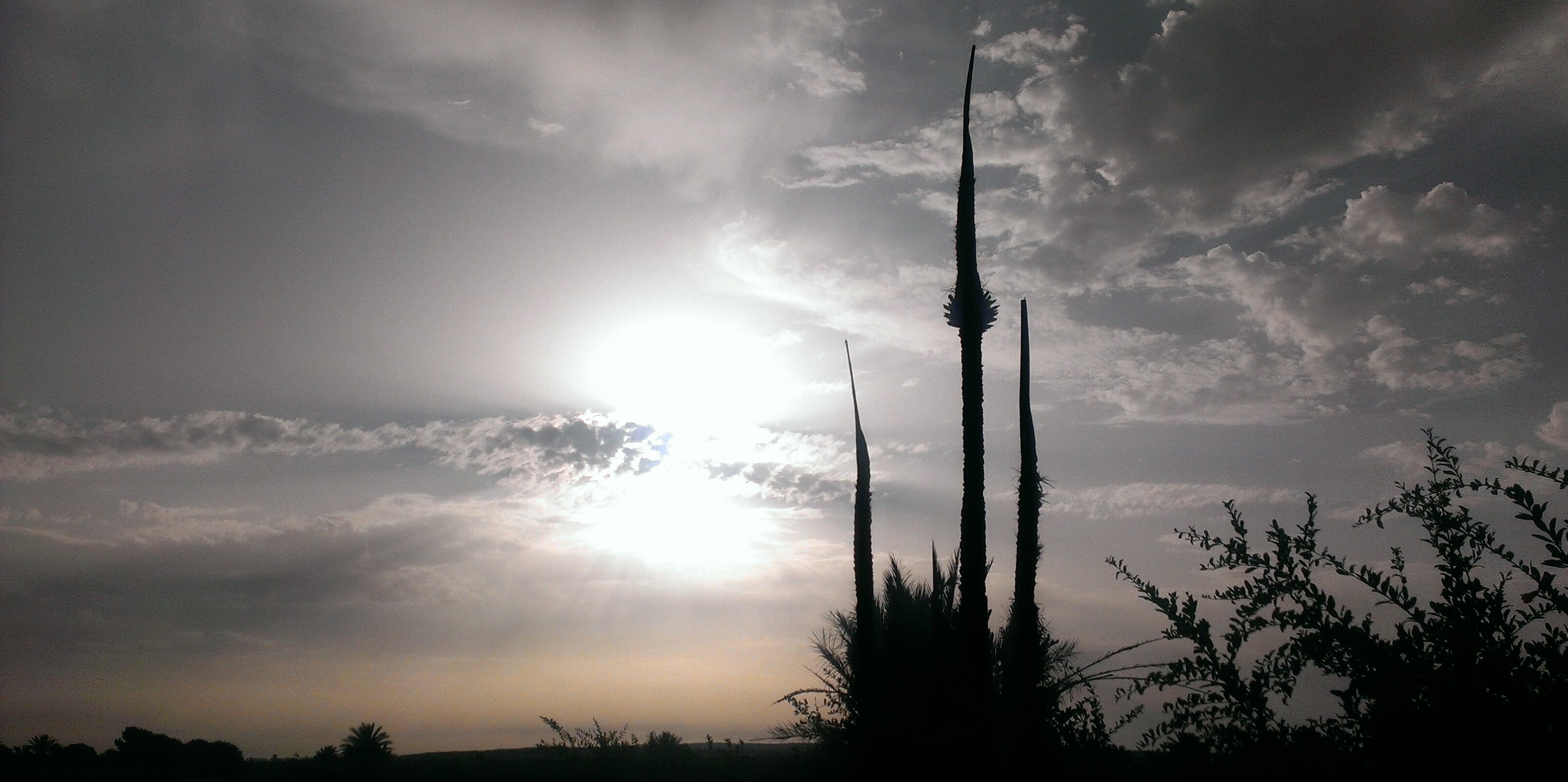 jmpandreu's profile banner image