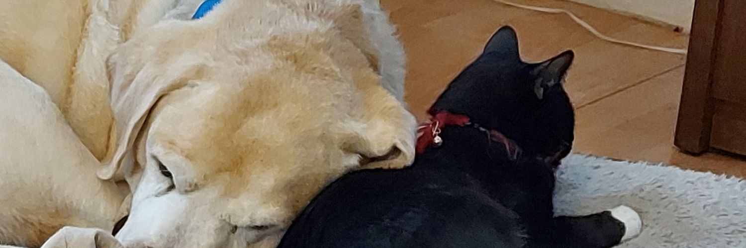 Chris Winstanley banner