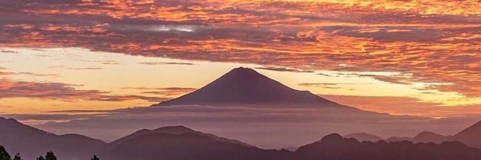 341deleon's profile banner image
