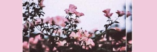 ari_hang92's profile banner image
