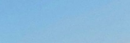 Nini. banner