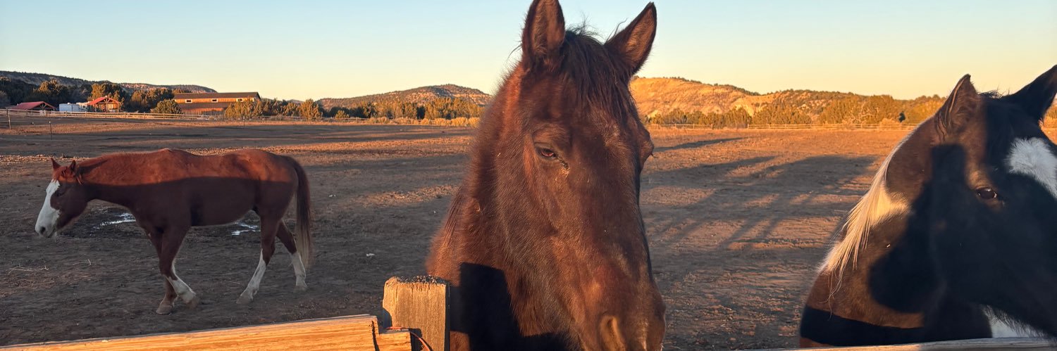 Aaron Christian banner