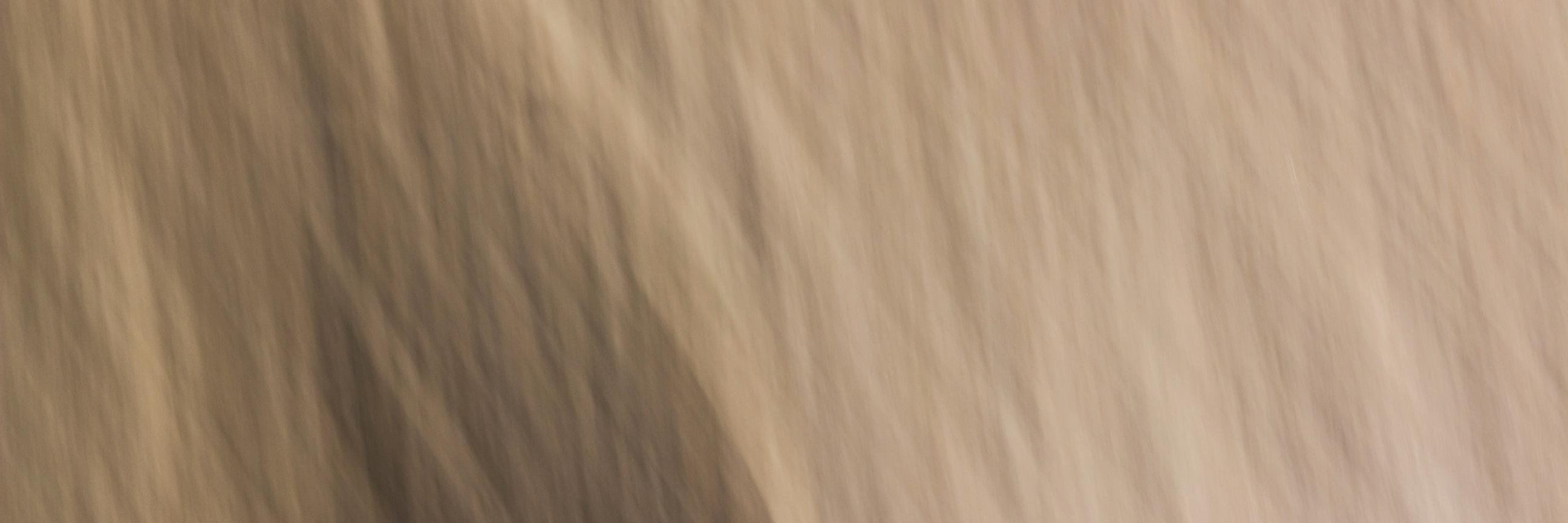 BerylSmile's profile banner image
