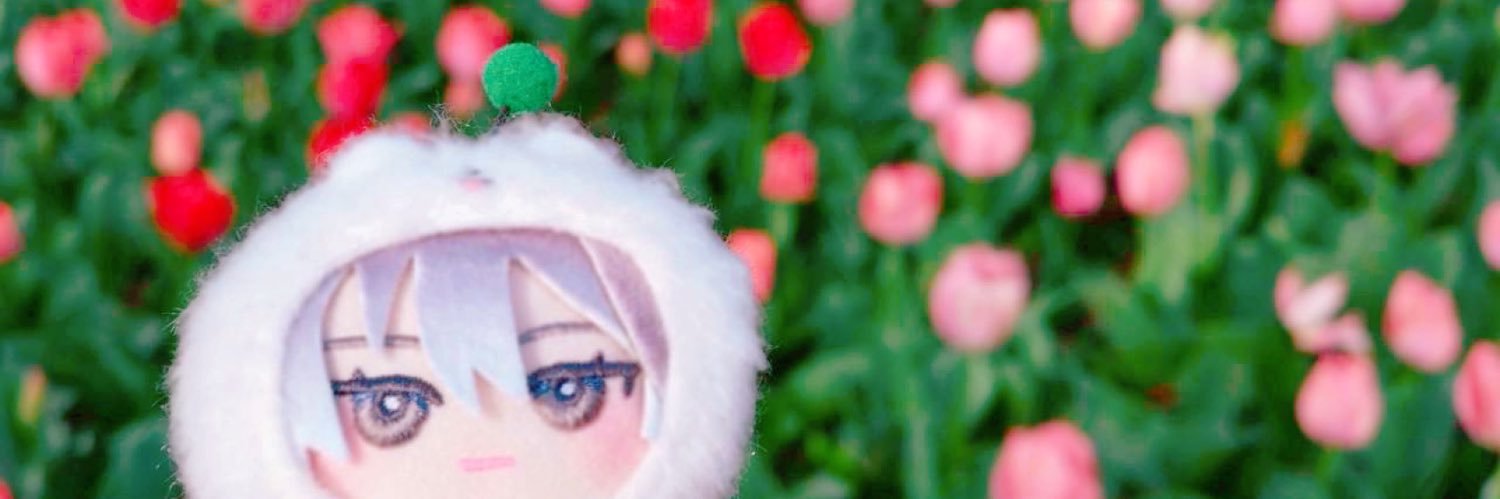 pez_tva's profile banner image