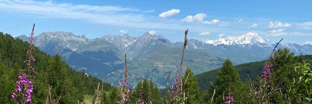 Yankelben's profile banner image