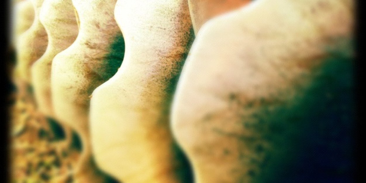 StefAtkins's profile banner image