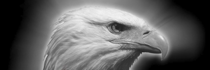 okiyildirim's profile banner image
