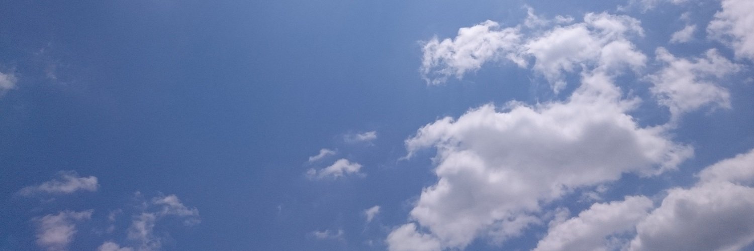 sn_flc's profile banner image