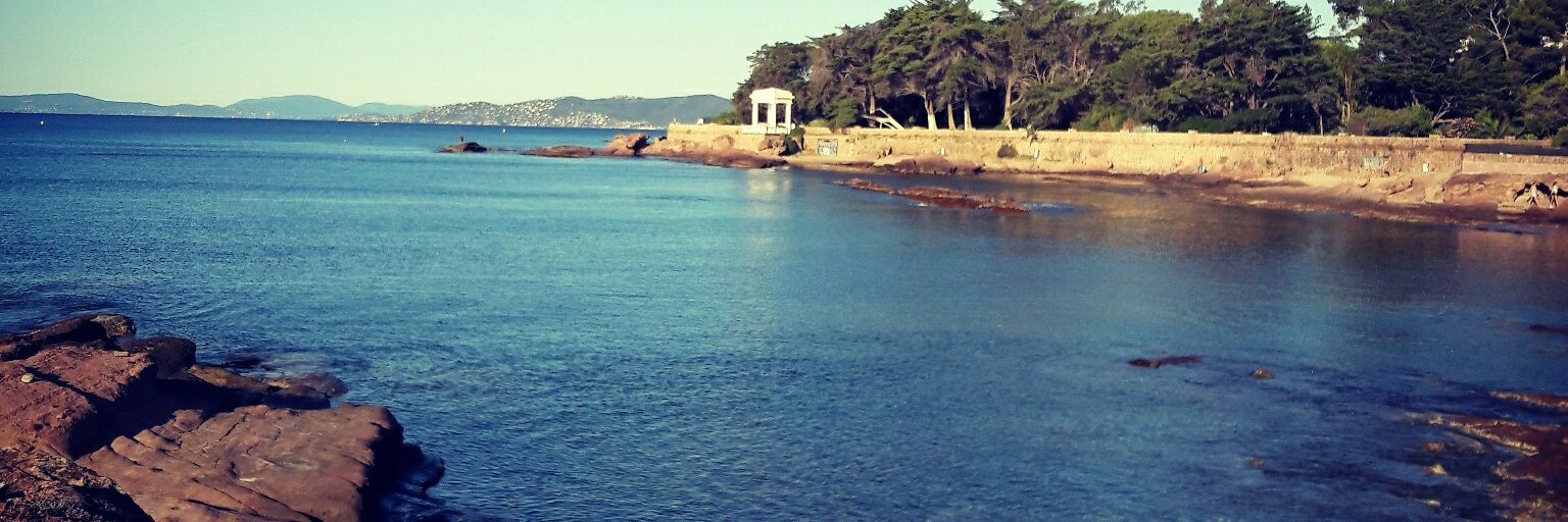 Christophe fath banner