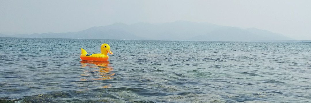 dvtjln's profile banner image