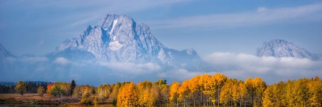 BülqaN ÇéLéBi banner