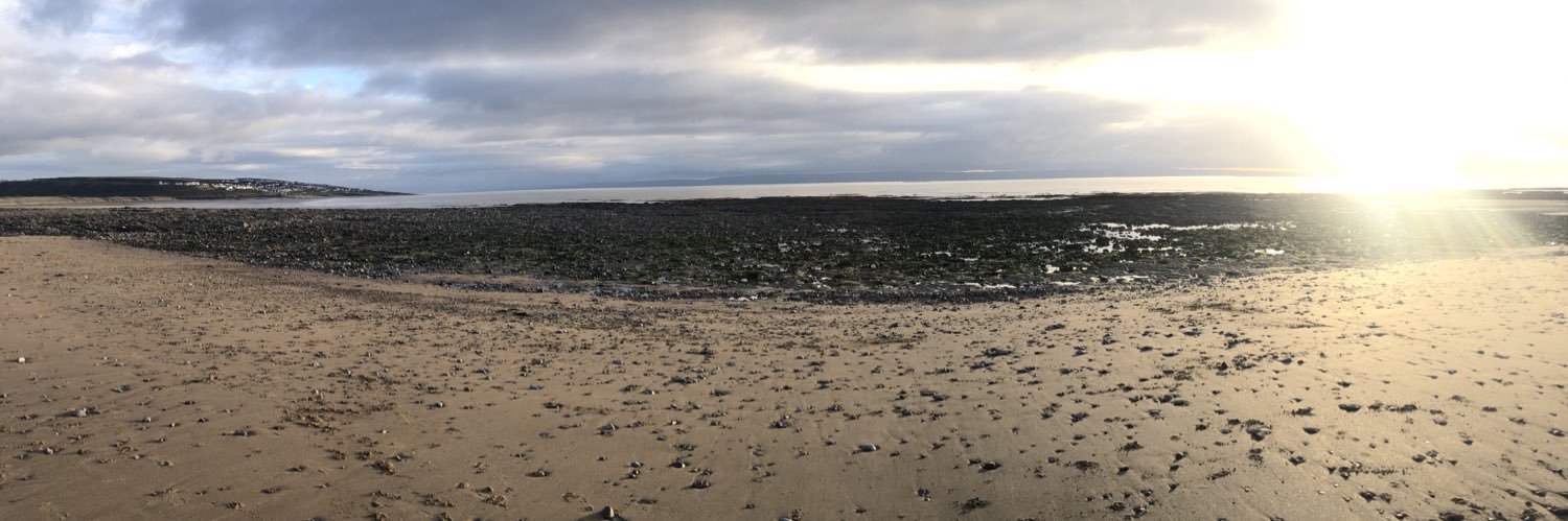 Nicola Williams banner