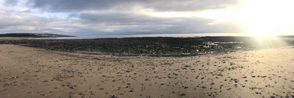 briefoverview Profile Banner