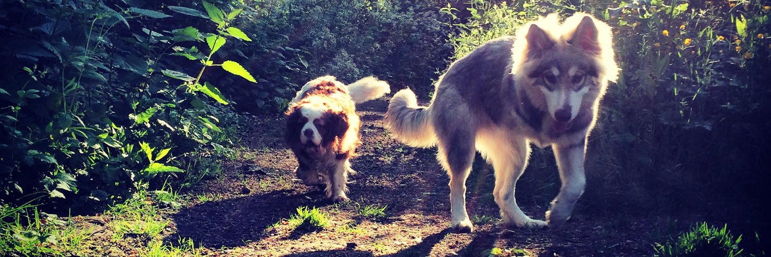 Del Wijeratne banner