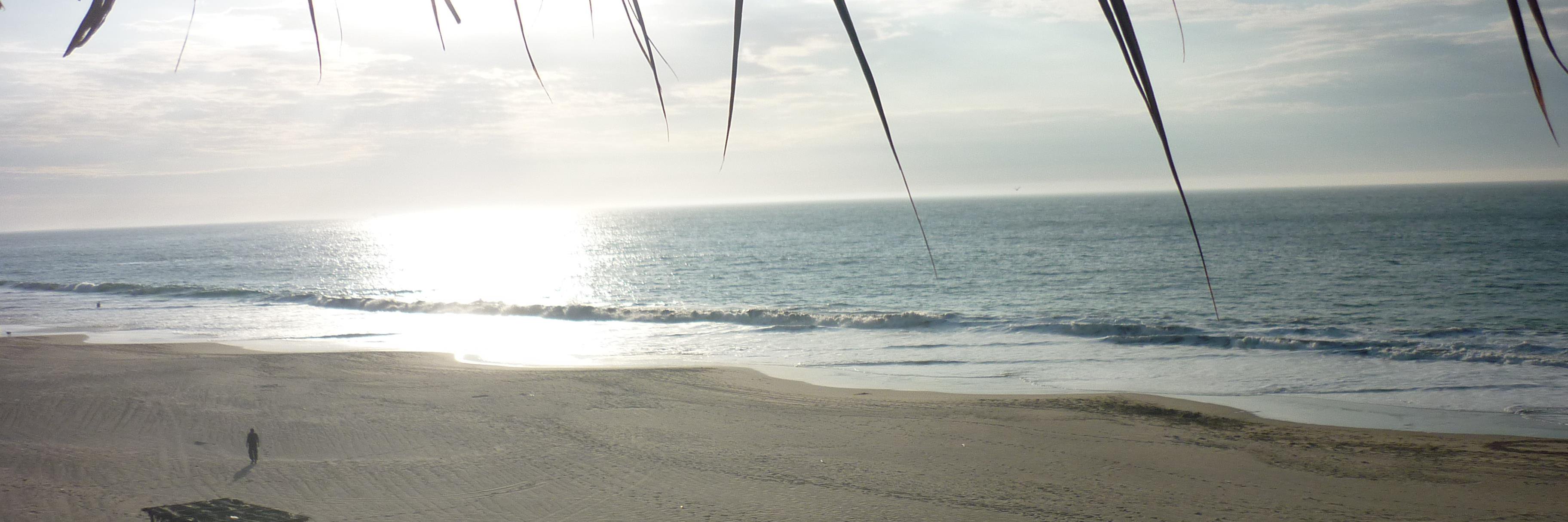 MannongoManuel's profile banner image