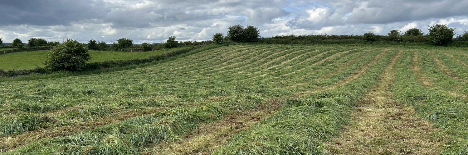 Catherina Cunnane banner