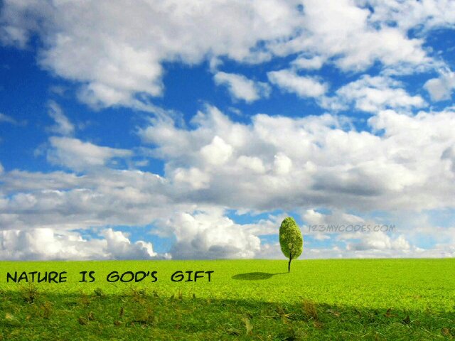 _osie's profile banner image